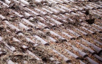 Sandborough roof cleaning companies